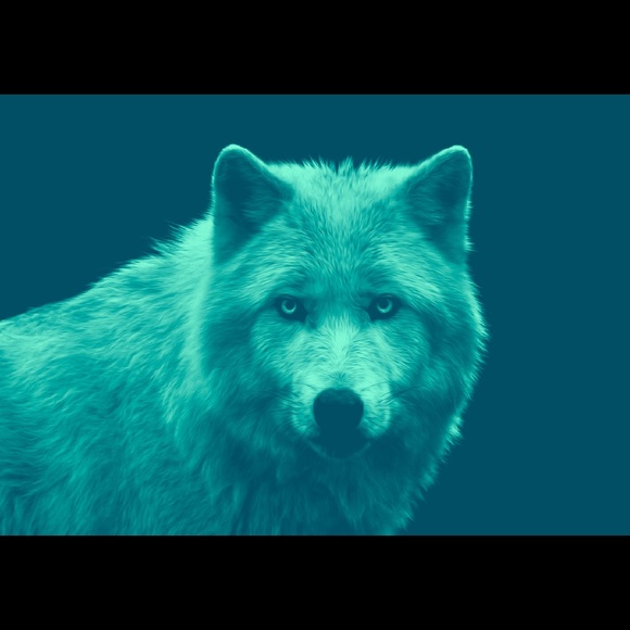 Meet your Posher, Tory - Picture 1 of 1